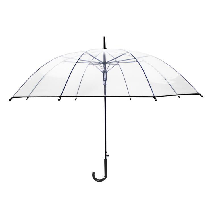 Transparent Umbrella